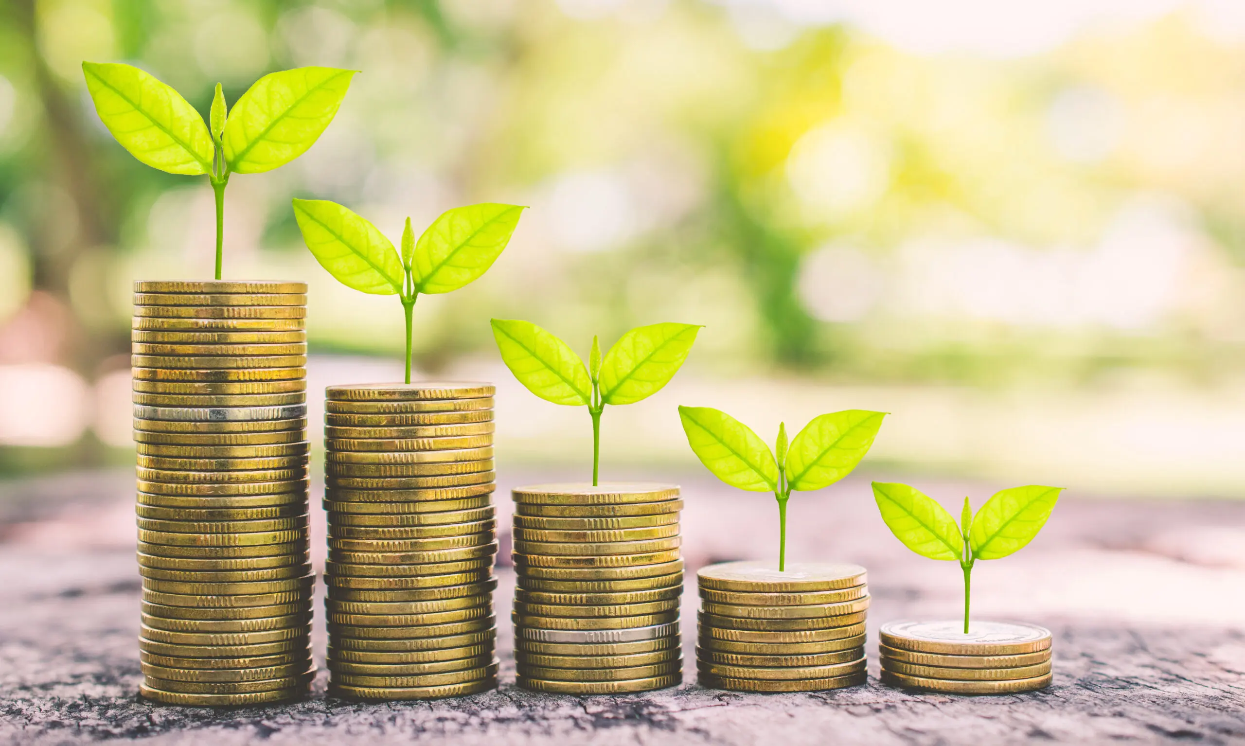 money for business investment finance and banking concept. green plant leaves growth up on row of saving coin stack on wood table with green blur nature background.