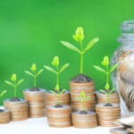 Trees growing on coins money and glass bottle on green background, investment and business concept