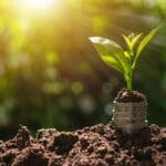 Coins with plant on top put on the soil in green nature background for business growth concept.