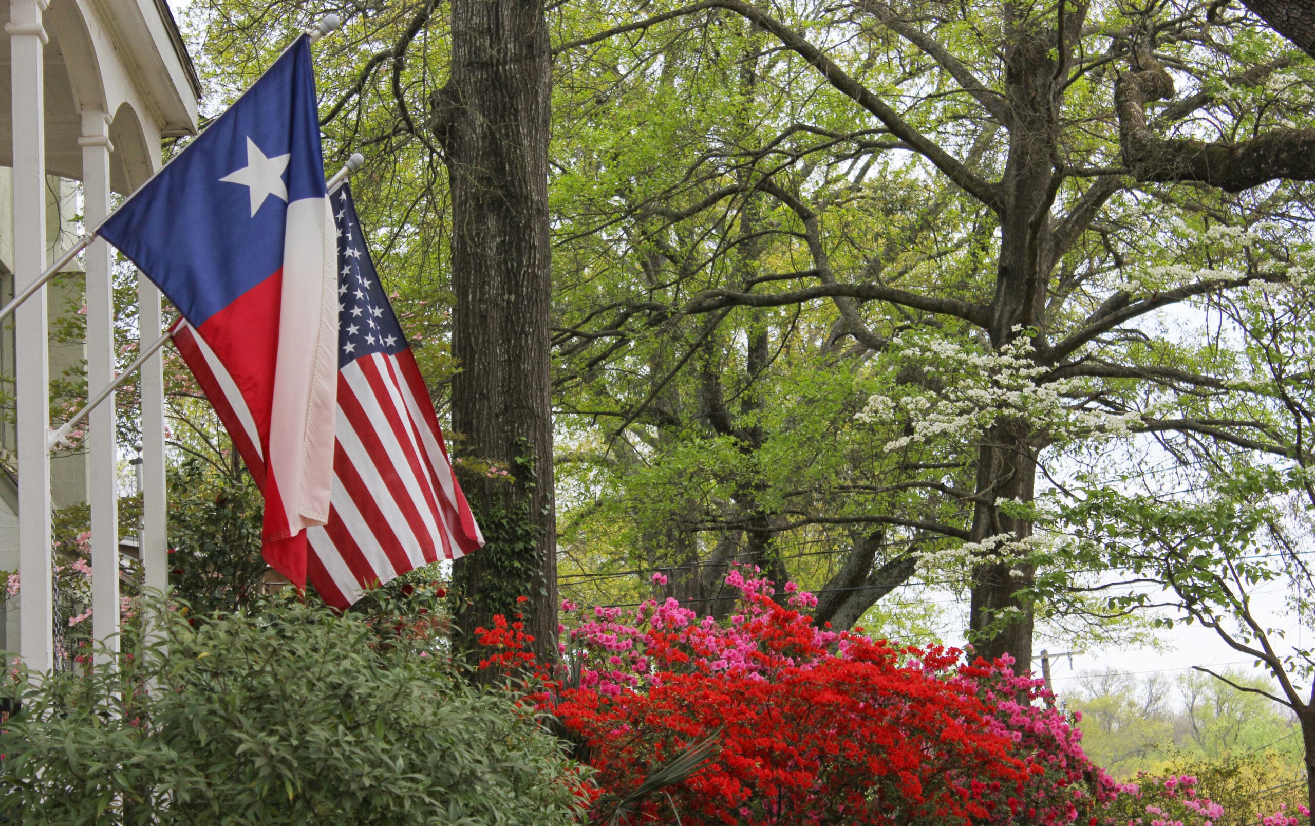 A selective focus of Texas and American Flags in front of a house during Independence day in the USA