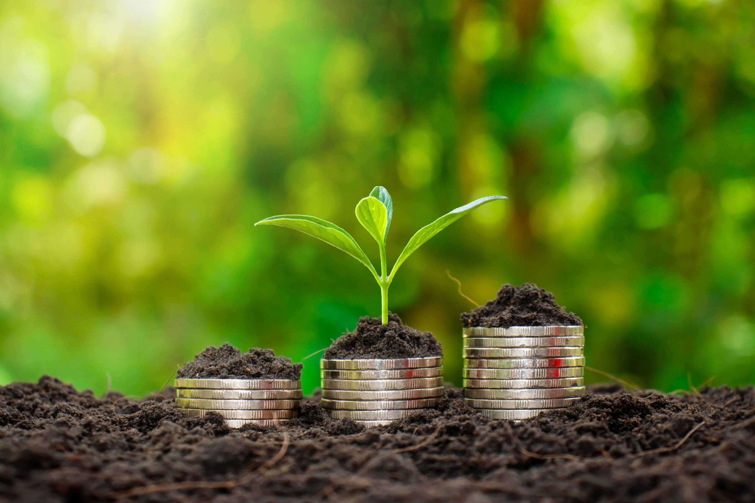 Sapling of growing plants on stacked coins and fertile soil, the concept for investment for agriculture and cultivation.