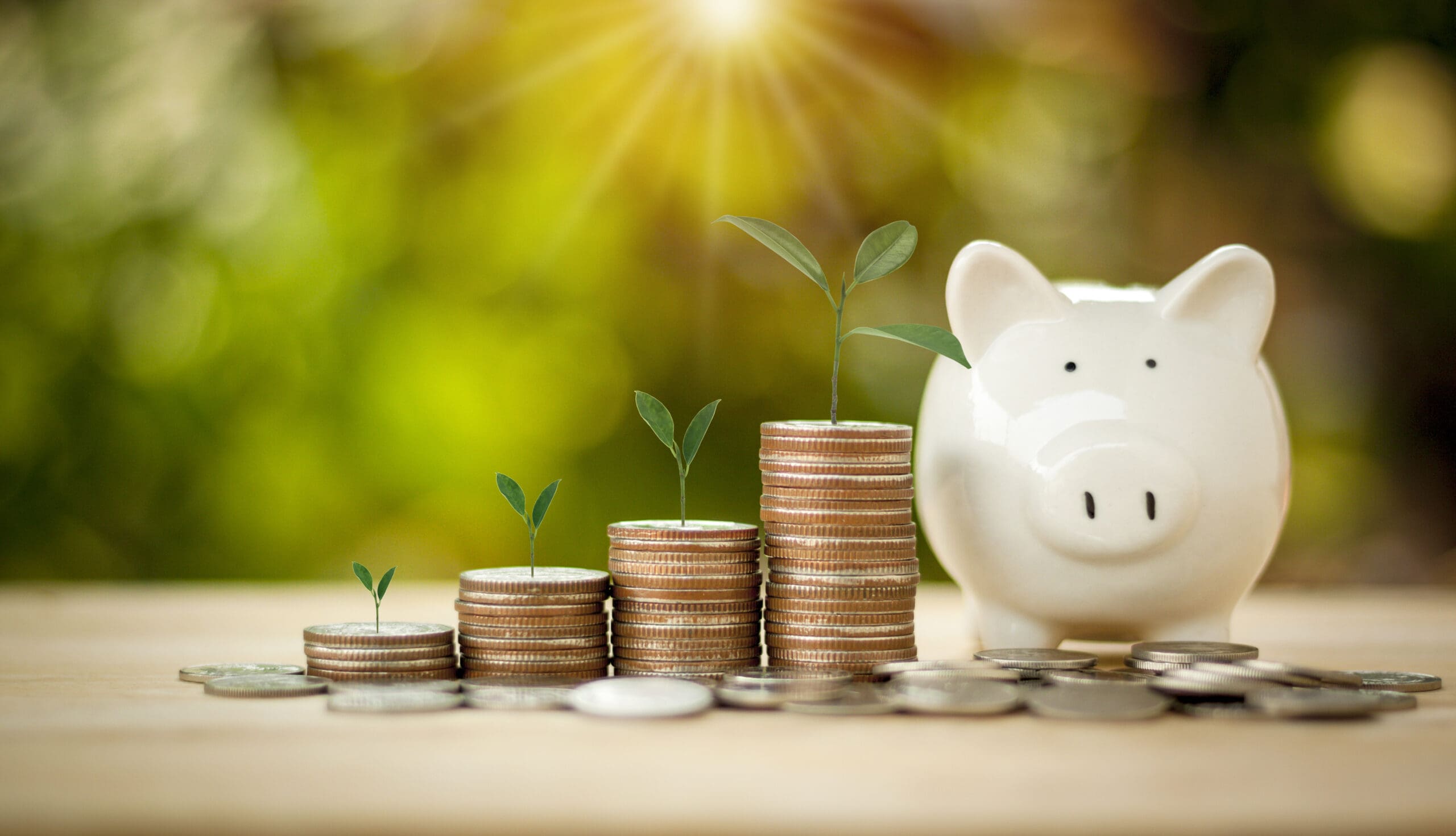 Business Financial and Save Money concept.Money coin stack for growing with piggy bank,income growing in the future with sun light bokeh background.