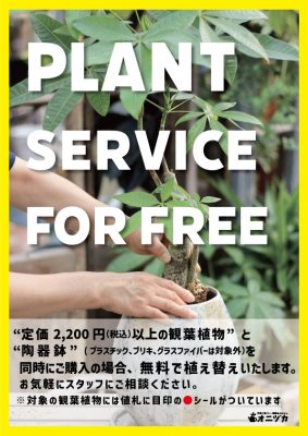 無料植え替えサービス本店2024.07.07