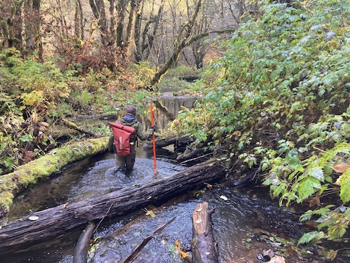 Oregon Beaver Plan