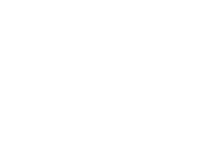 Logo del partido conservador