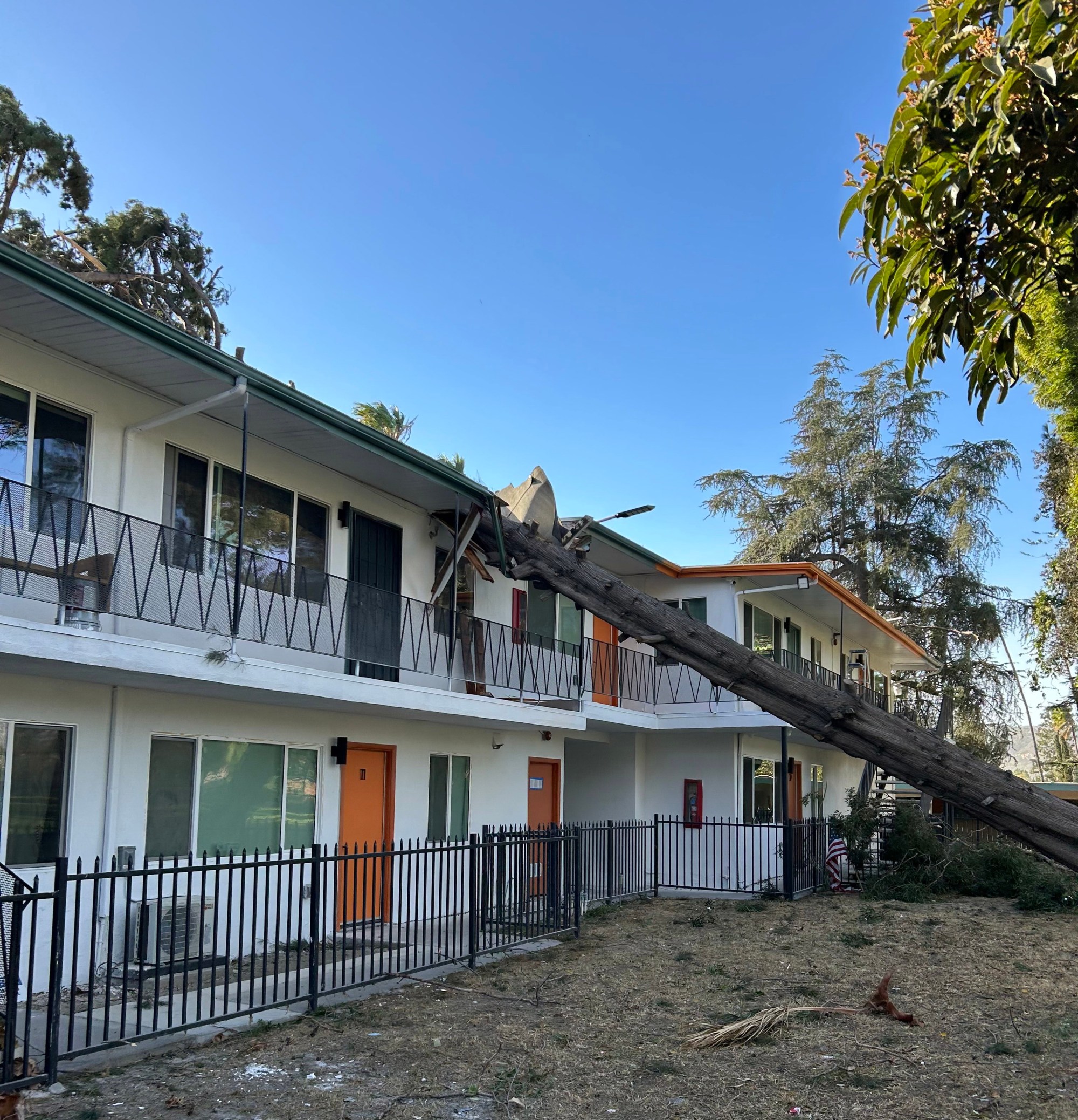 A tree, ripped by its roots due to extreme winds in Pasadena, crashed into the roof of a seven-unit apartment building in the afternoon of Jan. 7, 2025. (Courtesy of Lisa Derderian)