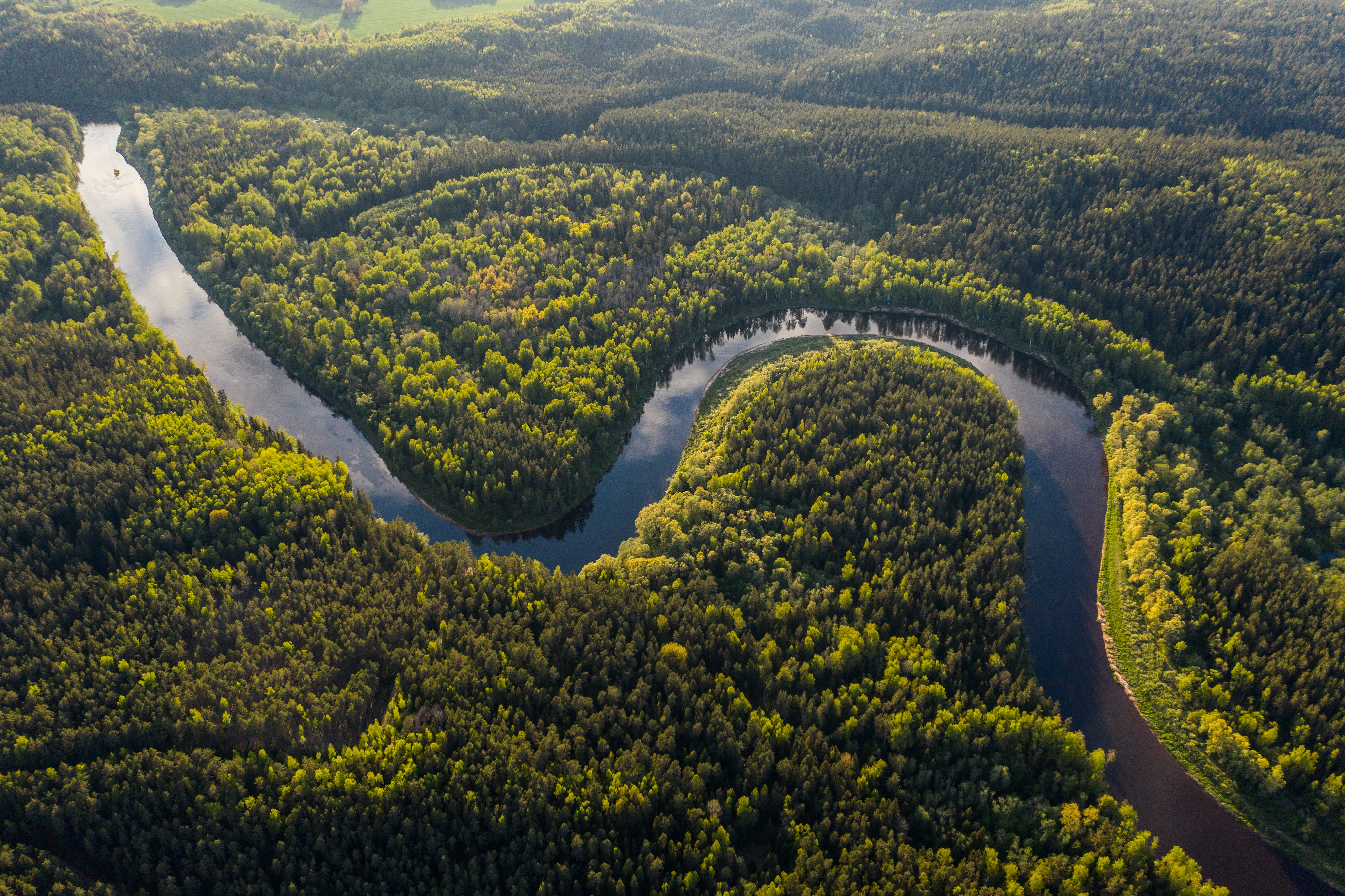 Amazon rainforest is losing resilience: new evidence from satellite data analysis