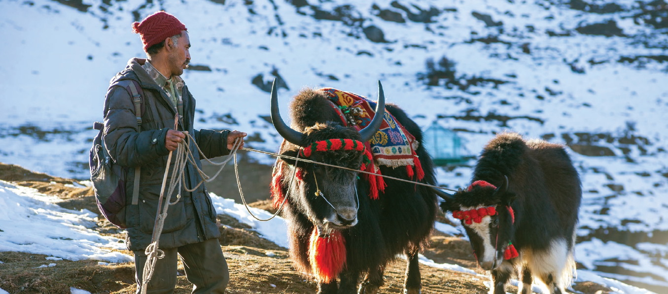 Locked Houses, Fallow Lands: Climate change and migration in the Himalayan state of Uttarakhand, India