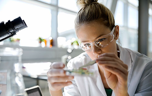 person working in a lab