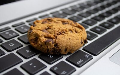 La vida después de las cookies para los marketinianos