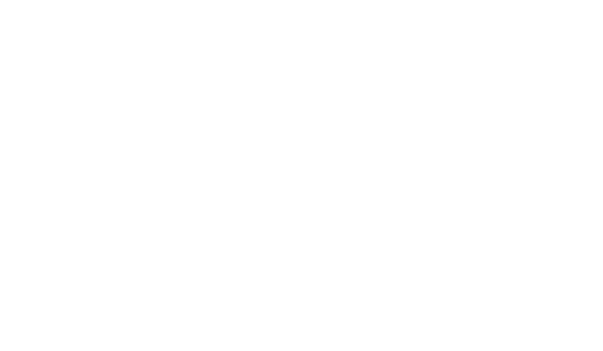 Roland Berger