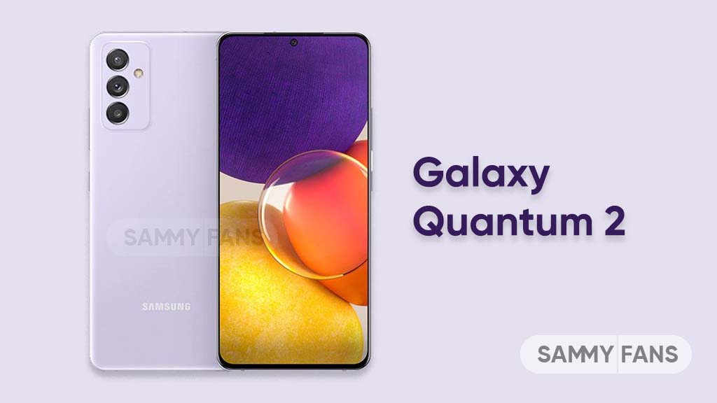 Samsung Quantum 2 One UI 6.1 update