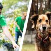 Man picking litter and volunteer with dog