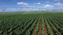 xi-wob pivot irrigation