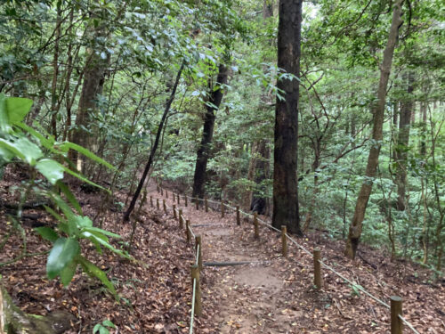 高千穂神社の境内の散策道