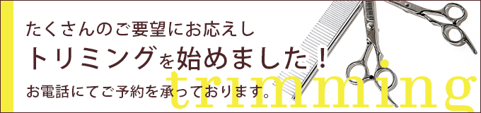 宍戸動物病院　トリミング