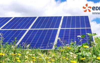 The DCO application features a 27% reduction in the area that will be covered by solar panels. Image: EDF Renewables UK.