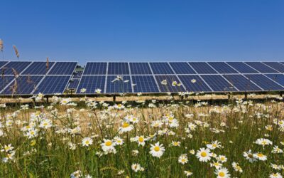 The site is predicted to have a biodiversity net gain of 98.40% in habitats units, 189.90% in hedgerow units and 10.19% in watercourse units. Image: RES.