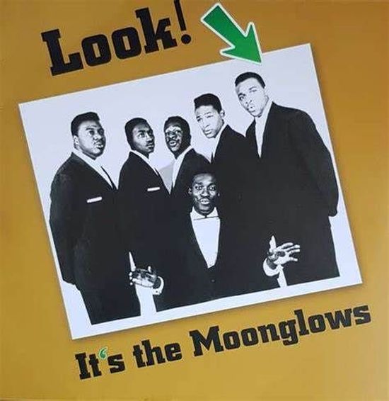 Imagen de tapa: LOOK IT S THE MOONGLOWS...