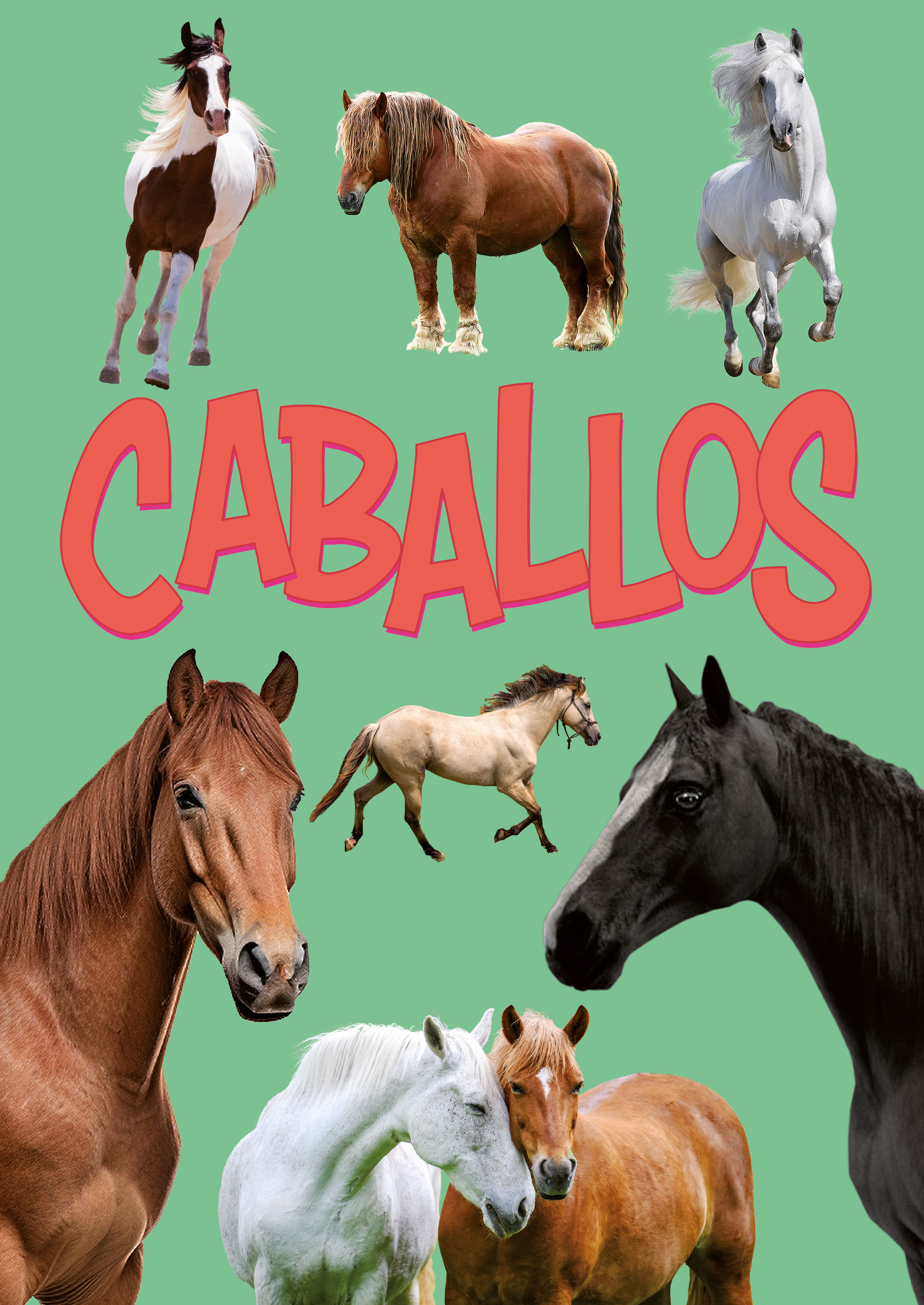 Imagen de tapa: CABALLOS...