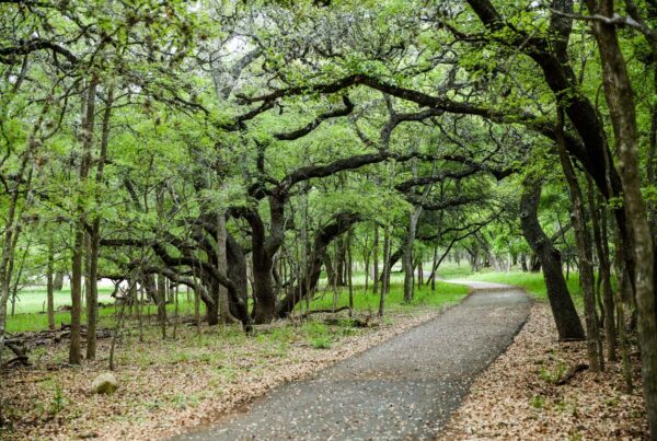 ‘Like Texas’ Appalachian trail’ — Great Springs Project working to connect Austin and San Antonio