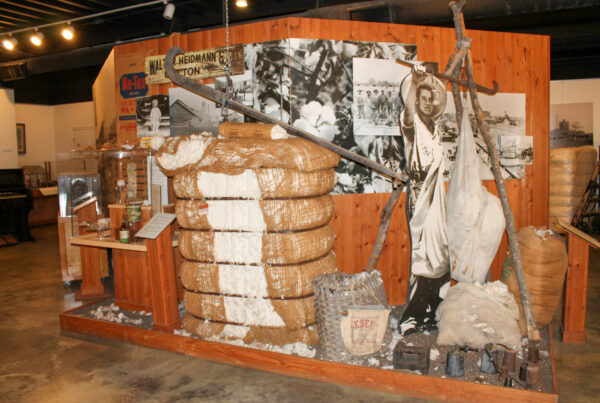 An indoor museum exhibit shows bundles of cotton and black and white cutouts and photos of the farming process.