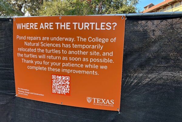 A photo of a burnt orange sign on a black mesh fence reads "Where are the turtles?" and explains that pond repairs are underway.