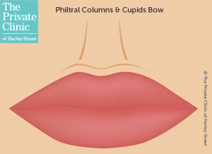 lip-filler-philtral-columns-cupid-bow-pout-enhancement-paris-lip-300×218-1.png