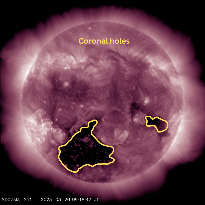 Sun activity for March 20, 2023. There are currently two coronal holes visible on the solar disk in the SDO 211 angstrom wavelength. Image via SDO.