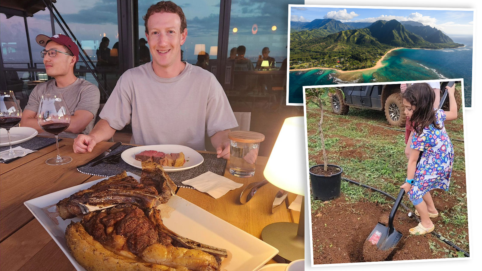 Mark Zuckerberg’s cattle feast on macadamia nuts and beer