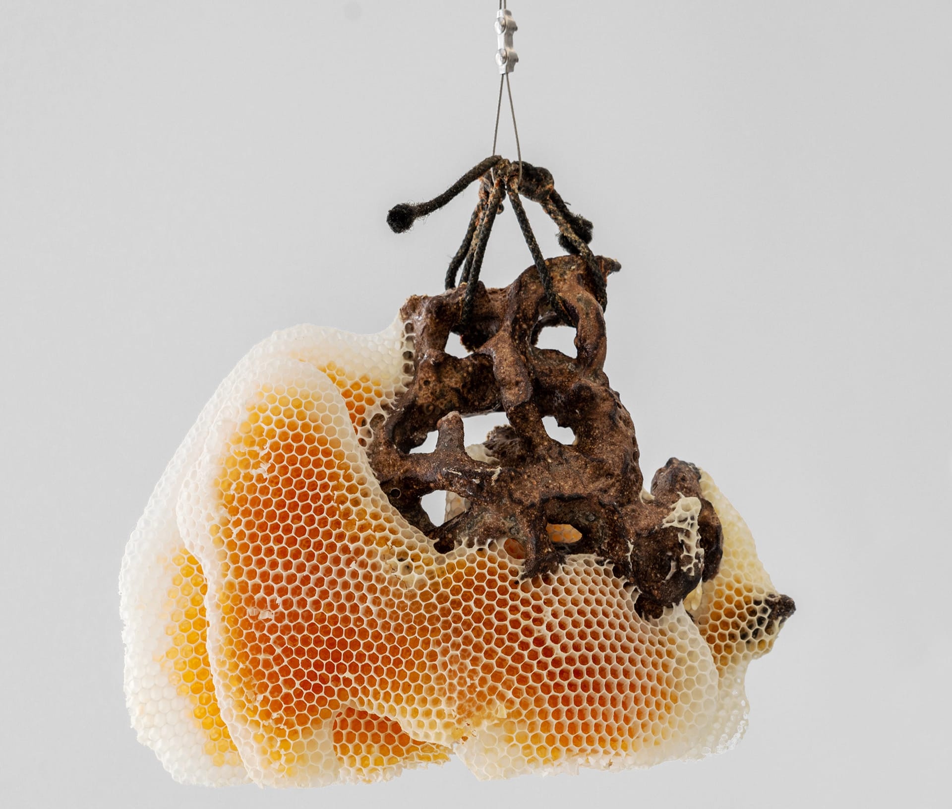 a ceramic sculpture with honeycomb swelling around it particularly toward the left side