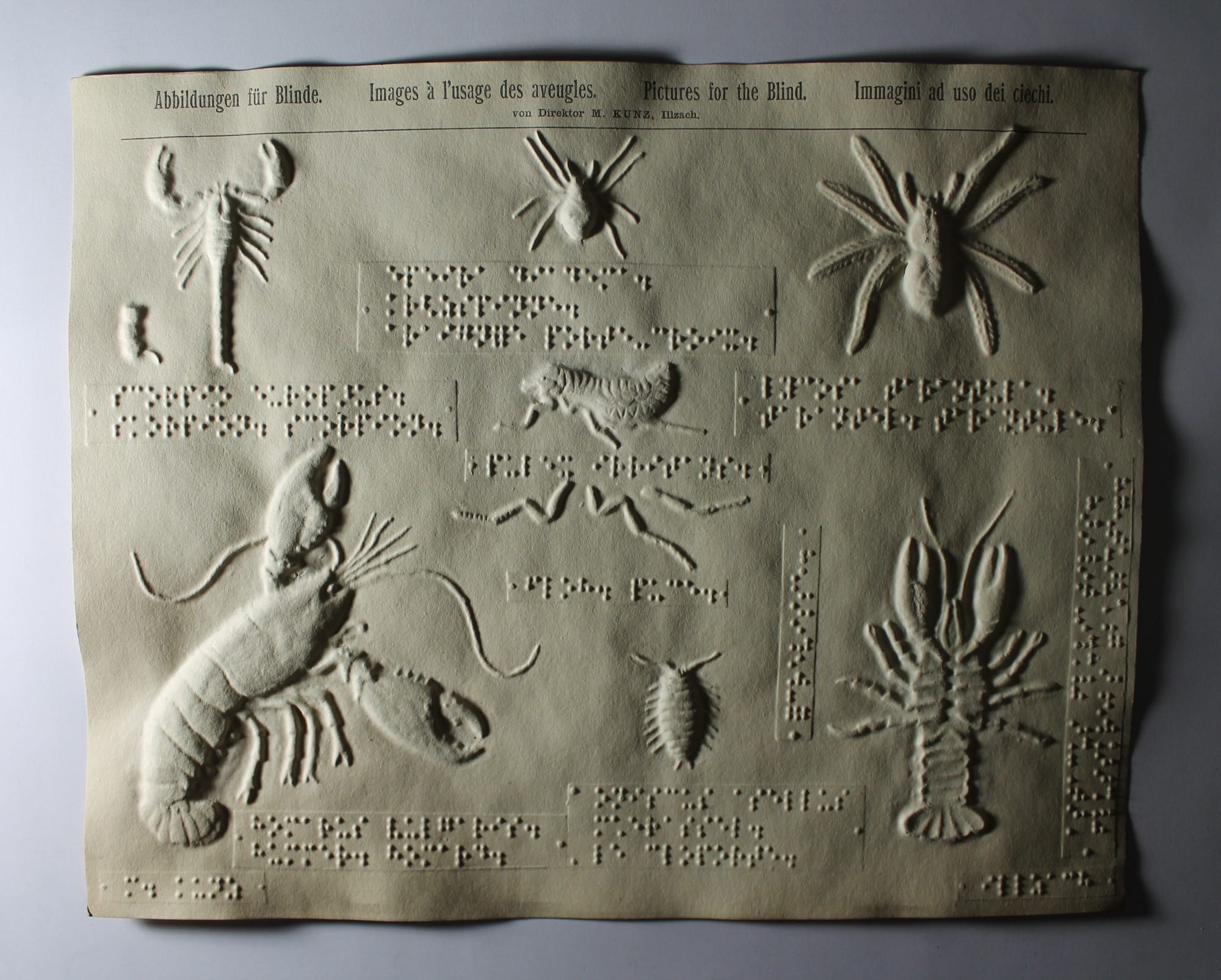 an embossed page of crustacean shapes from a collection of pictures for the blind (tactile graphics), created by M. Kunz, Director of the Illzach School near Mulhouse, France