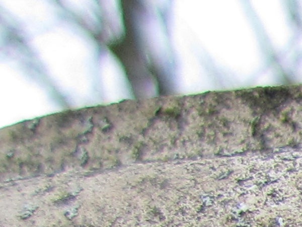 Close-up photo of a textured surface with soft focus