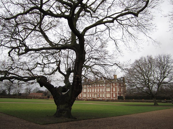 Photo captured with Canon IXUS 130 of a mansion and tree.