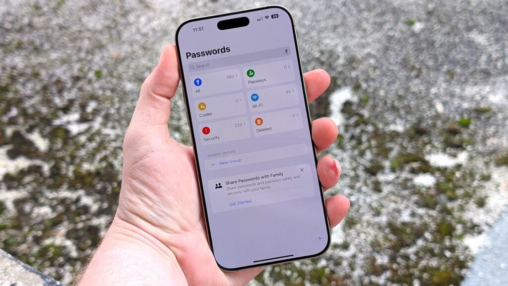 Passwords app in iOS 18