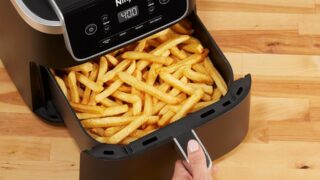 Ninja Air Fryer Pro