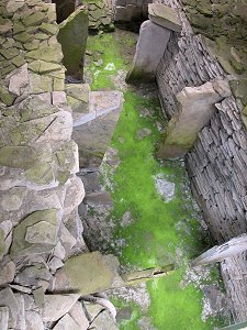 The Stalls in the Stalled Tomb