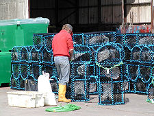 Lobster Pots