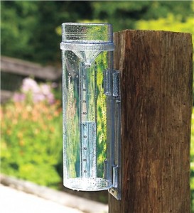 rain-gauge