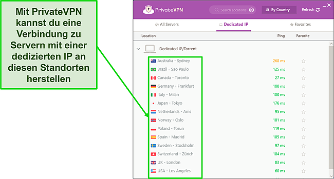 Screenshot des Private VPN Dedicated IP Server-Menüs in Windows.