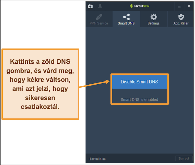 Pillanatkép a CactusVPN felületről, amely bemutatja az intelligens DNS engedélyezésének módját