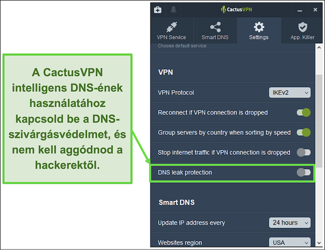 Képernyőkép, amely bemutatja, hogyan lehet engedélyezni a DNS szivárgásvédelmet