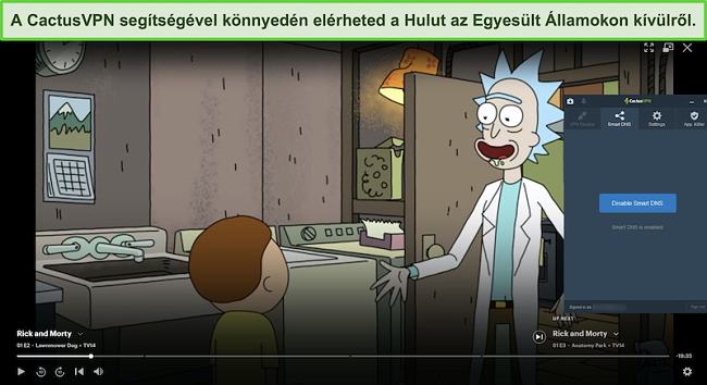 Pillanatkép arról, hogy Rick és Morty sikeresen közvetítenek a Hulu-n, a CactusVPN-hez csatlakoztatva