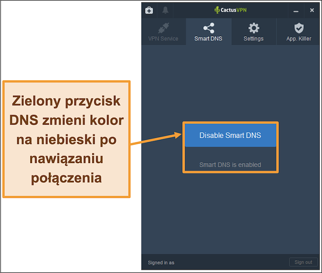 Zrzut ekranu interfejsu CactusVPN pokazujący, jak włączyć inteligentny DNS