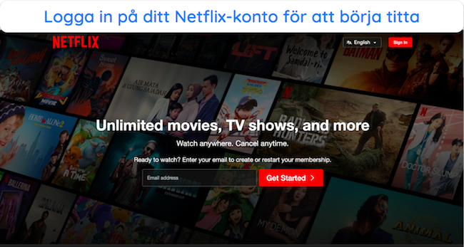 Skärmdump av Netflixs inloggningssida