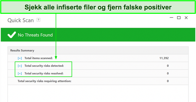 Skjermbilde av hvor du kan sjekke listen over infiserte filer etter full skanning