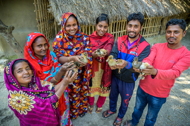 Chicks and ducks help families generate income. 