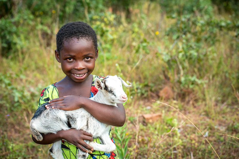 Child holding a goat. 