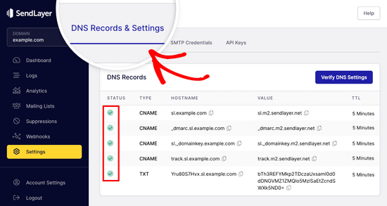 SendLayer DNS TXT records once they've been verified