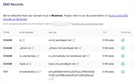 SendLayer's DNS records